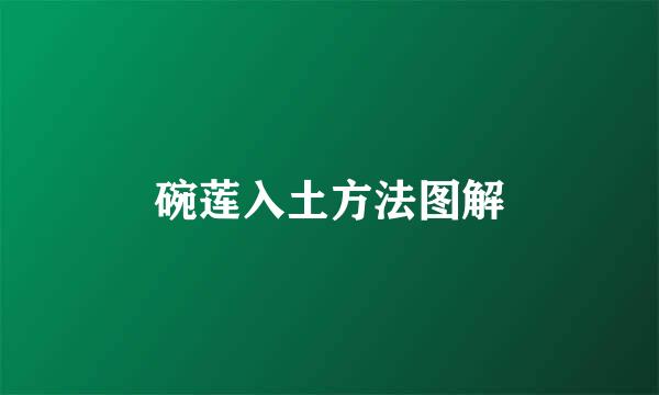 碗莲入土方法图解