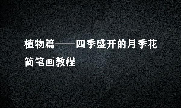 植物篇——四季盛开的月季花简笔画教程