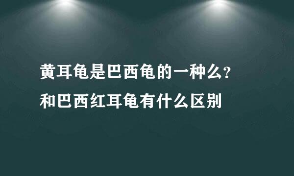 黄耳龟是巴西龟的一种么？ 和巴西红耳龟有什么区别