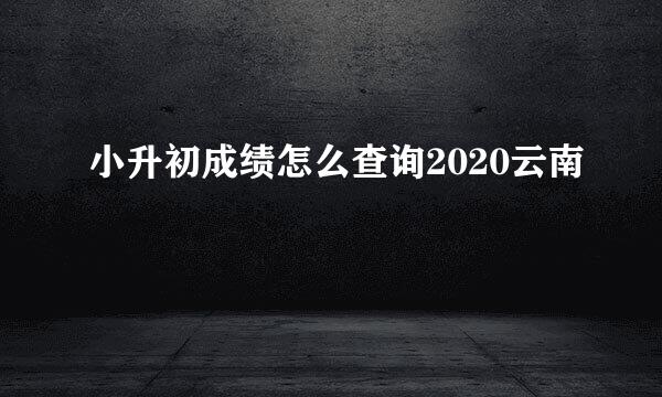 小升初成绩怎么查询2020云南