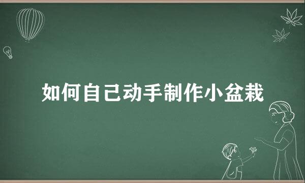 如何自己动手制作小盆栽