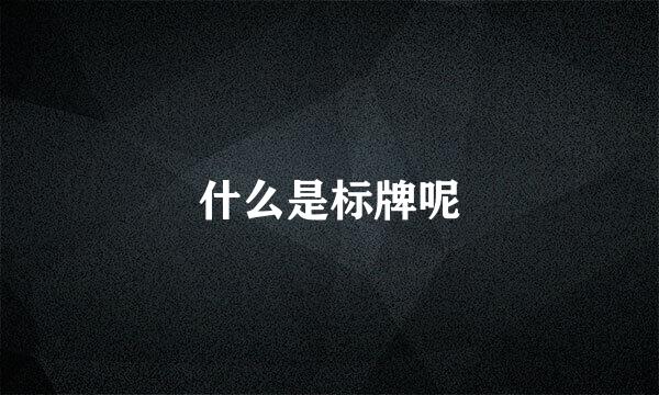 什么是标牌呢