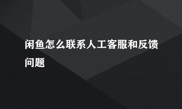 闲鱼怎么联系人工客服和反馈问题