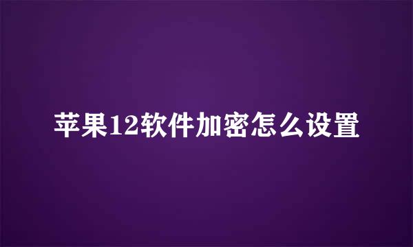苹果12软件加密怎么设置