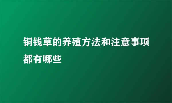 铜钱草的养殖方法和注意事项都有哪些