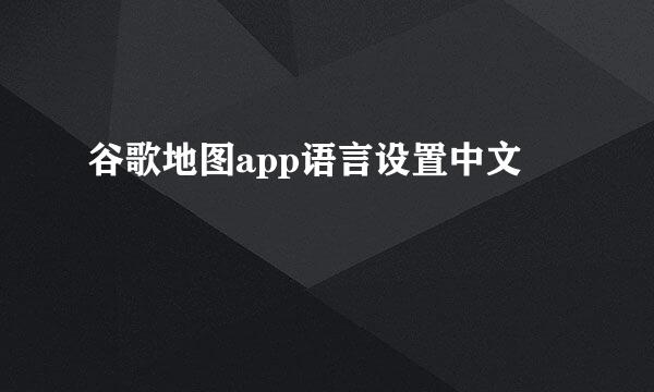 谷歌地图app语言设置中文