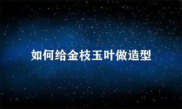 如何给金枝玉叶做造型