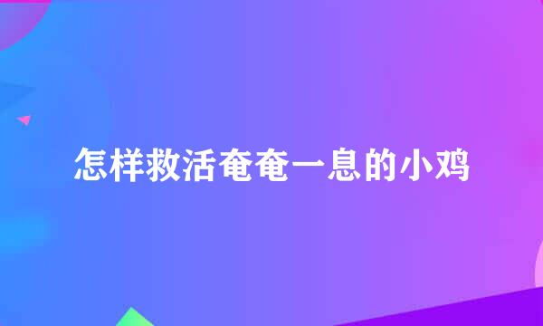 怎样救活奄奄一息的小鸡