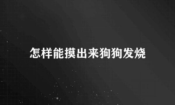 怎样能摸出来狗狗发烧
