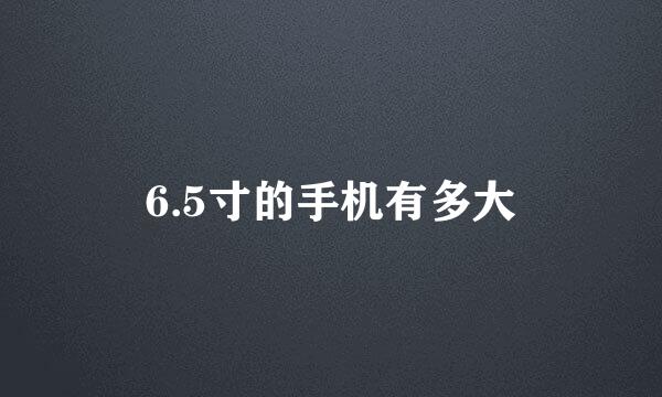 6.5寸的手机有多大