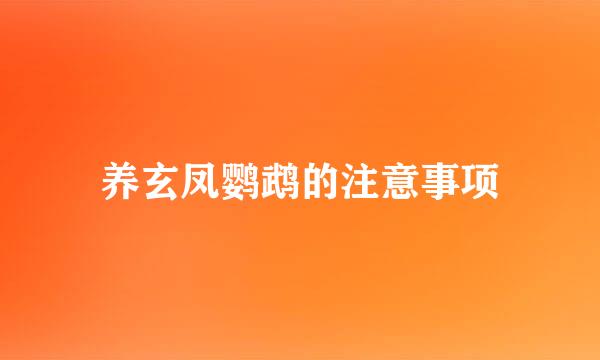 养玄凤鹦鹉的注意事项