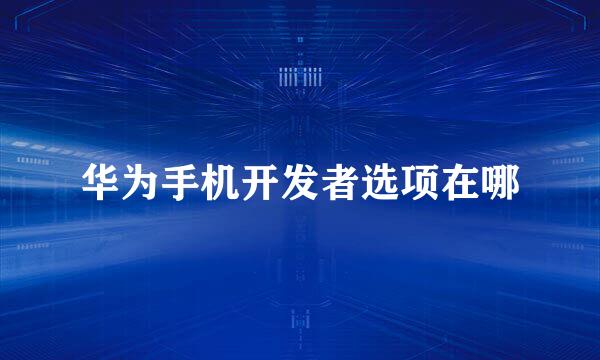 华为手机开发者选项在哪