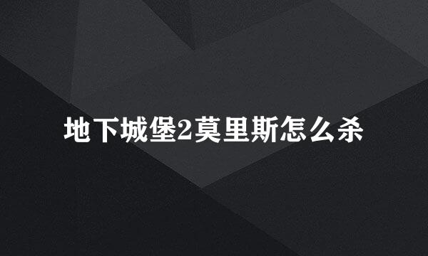 地下城堡2莫里斯怎么杀