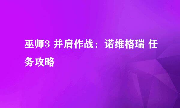 巫师3 并肩作战：诺维格瑞 任务攻略