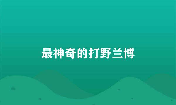 最神奇的打野兰博
