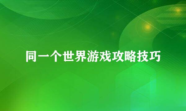 同一个世界游戏攻略技巧