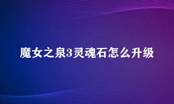 魔女之泉3灵魂石怎么升级