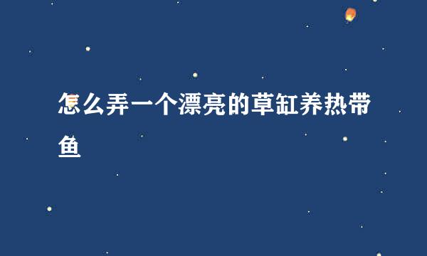 怎么弄一个漂亮的草缸养热带鱼