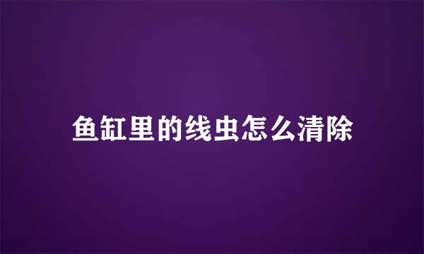 鱼缸里的线虫怎么清除