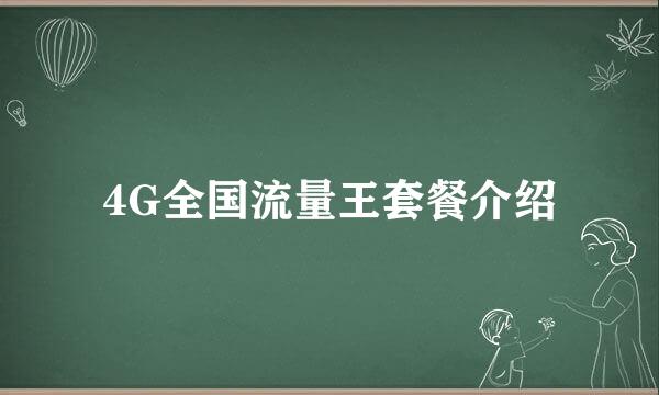 4G全国流量王套餐介绍