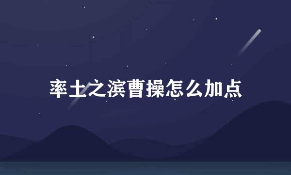 率土之滨曹操怎么加点