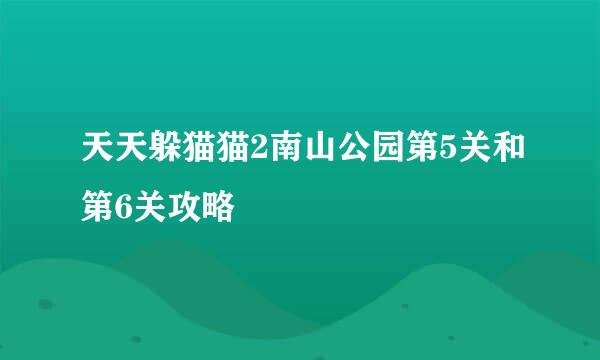 天天躲猫猫2南山公园第5关和第6关攻略