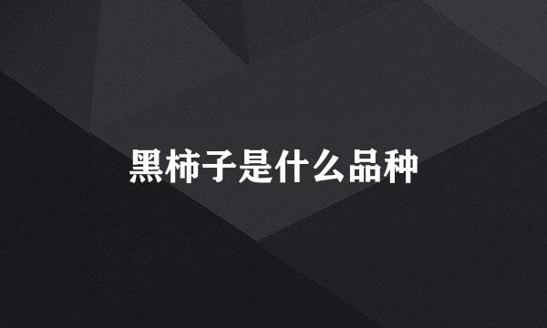 黑柿子是什么品种