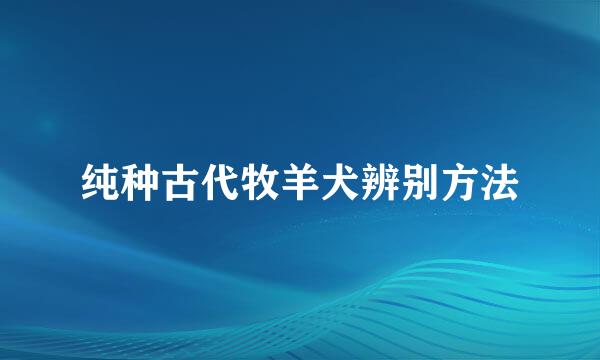 纯种古代牧羊犬辨别方法