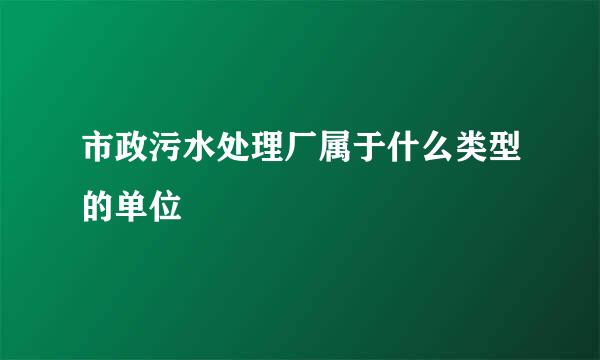市政污水处理厂属于什么类型的单位