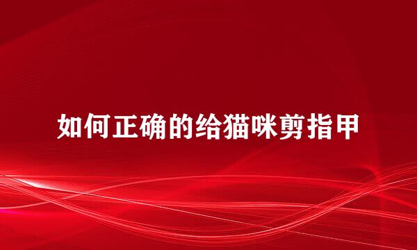 如何正确的给猫咪剪指甲