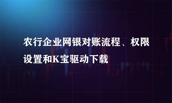 农行企业网银对账流程、权限设置和K宝驱动下载