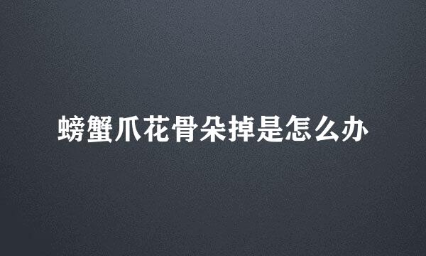 螃蟹爪花骨朵掉是怎么办