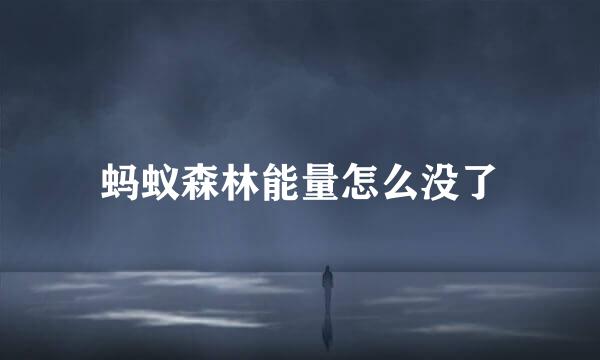 蚂蚁森林能量怎么没了