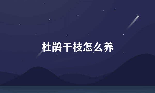 杜鹃干枝怎么养