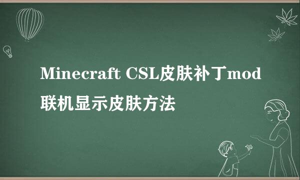 Minecraft CSL皮肤补丁mod联机显示皮肤方法