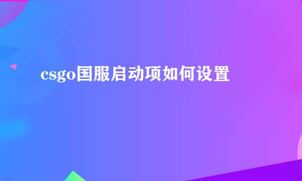 csgo国服启动项如何设置