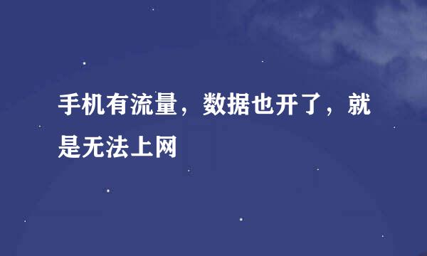 手机有流量，数据也开了，就是无法上网