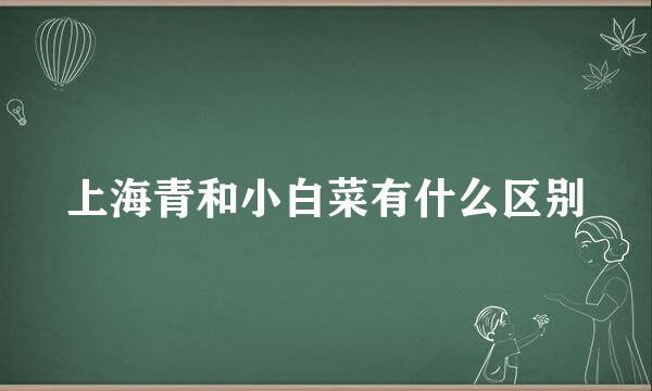 上海青和小白菜有什么区别