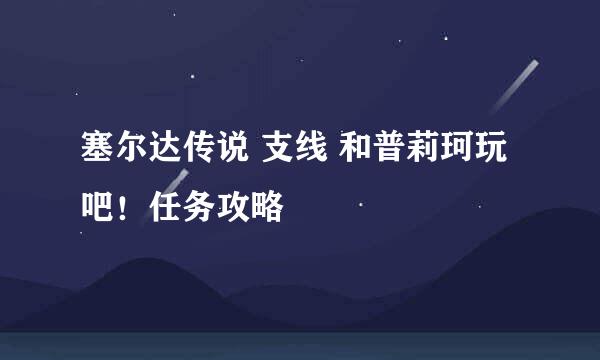 塞尔达传说 支线 和普莉珂玩吧！任务攻略