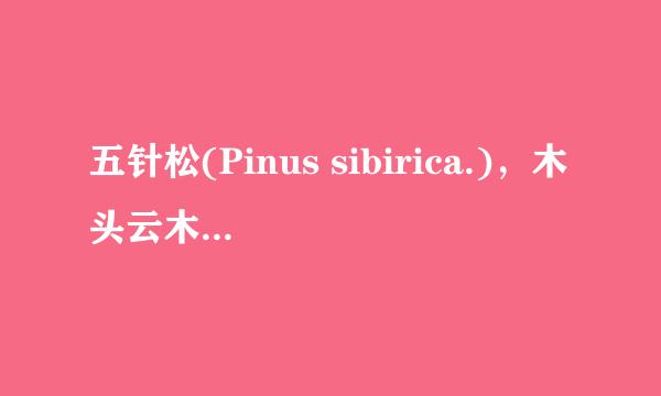 五针松(Pinus sibirica.)，木头云木材百科知识