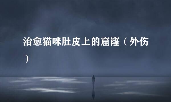 治愈猫咪肚皮上的窟窿(外伤)