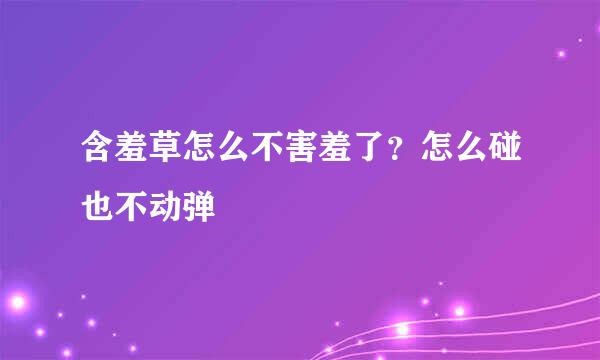 含羞草怎么不害羞了？怎么碰也不动弹