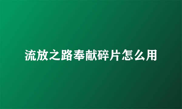 流放之路奉献碎片怎么用