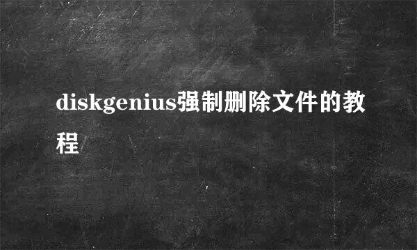 diskgenius强制删除文件的教程