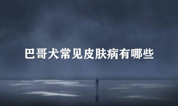 巴哥犬常见皮肤病有哪些