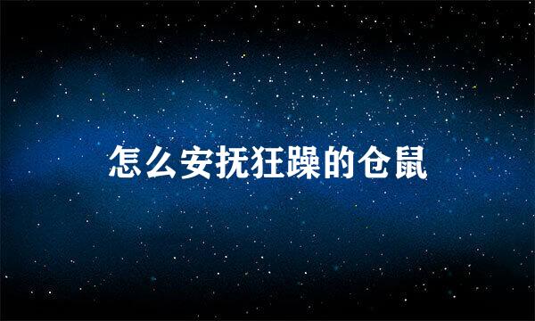 怎么安抚狂躁的仓鼠