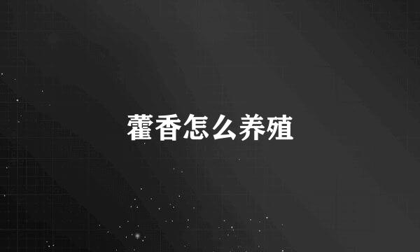 藿香怎么养殖