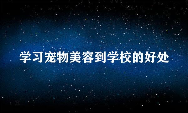 学习宠物美容到学校的好处