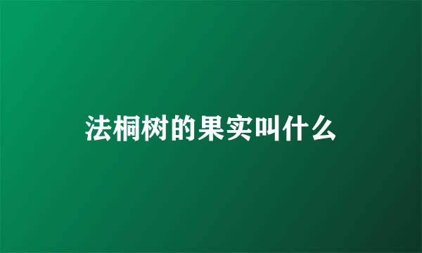 法桐树的果实叫什么