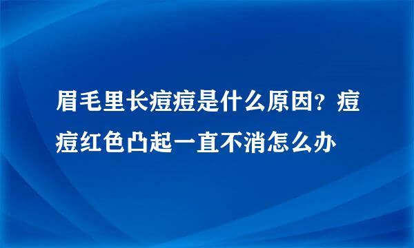 眉毛里长痘痘是什么原因？痘痘红色凸起一直不消怎么办